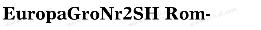 EuropaGroNr2SH Rom字体转换